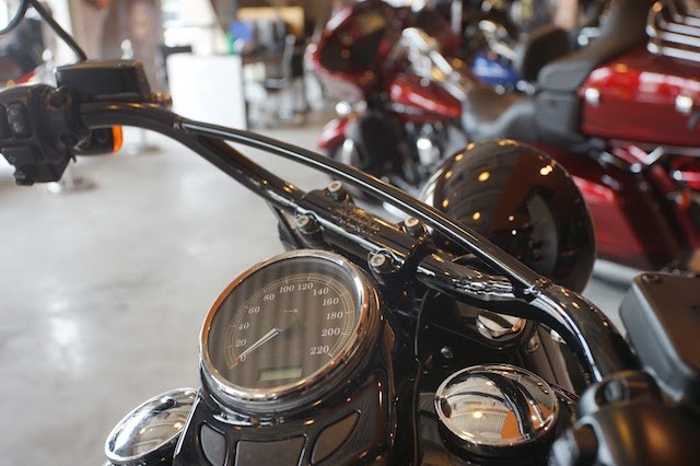 Harley-Davidson Softail Slim S giá gần 1 tỷ đồng tại Việt Nam ảnh 5