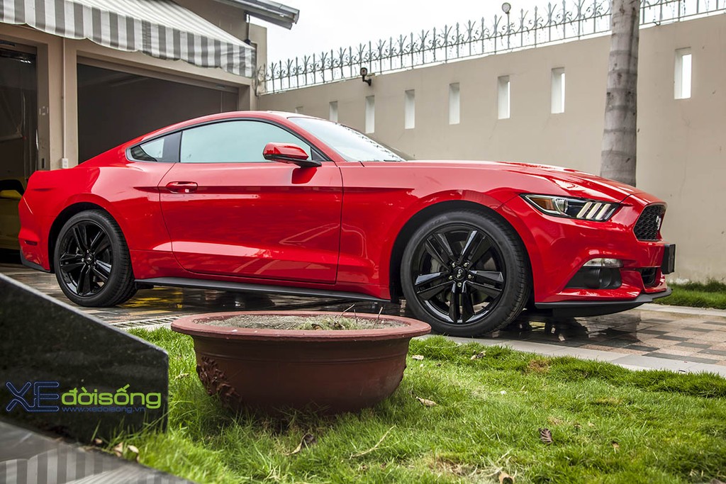 Khám phá chi tiết Ford Mustang 2015 đầu tiên tại Việt Nam ảnh 6