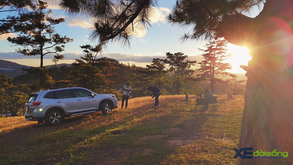Đánh giá Subaru Forester 2019: An toàn, tiện nghi và khác biệt với phần còn lại của xe Nhật ảnh 4