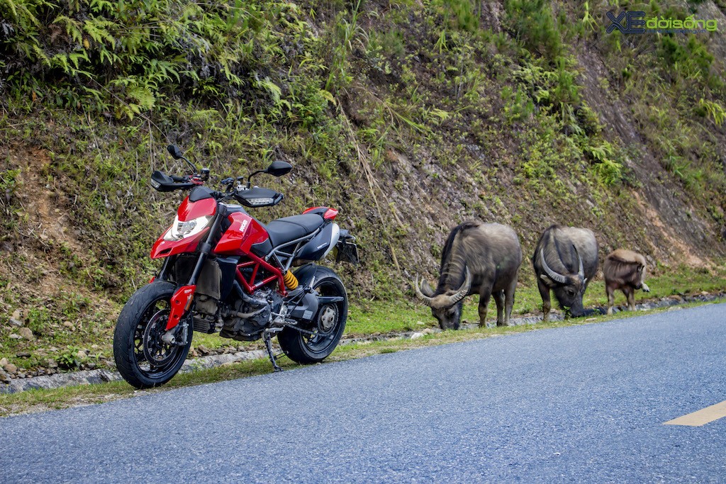 Đem một chiếc supermoto chạy phố như Ducati Hypermotard 950 đi tour “rừng xanh núi đỏ” tại Mù Cang Chải? Nhiệm vụ khả thi! ảnh 4