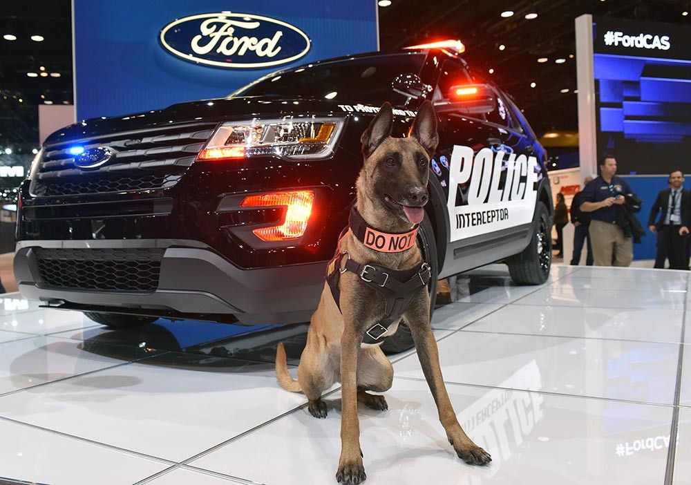 Khám phá Ford Police Interceptor đa dụng, xe cảnh sát bán chạy số 1 ở Mỹ ảnh 1