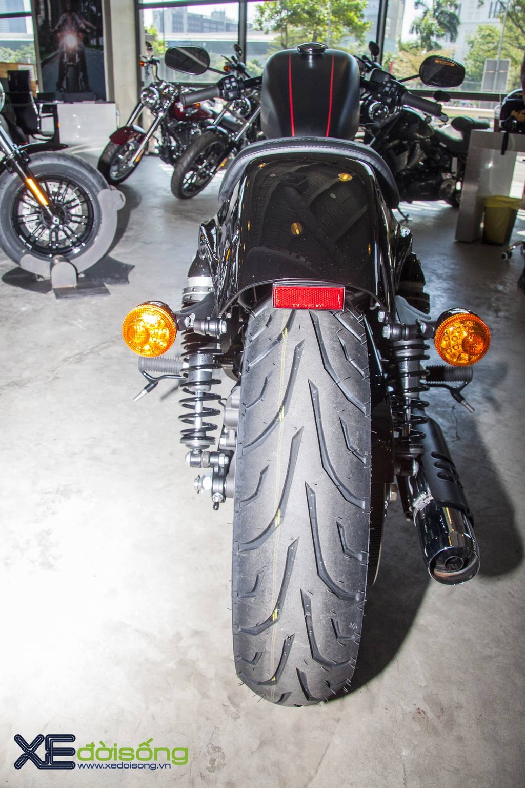 Ngắm Harley Davidson Roadster 1200 độ xe đua chính hãng tại Việt Nam ảnh 5