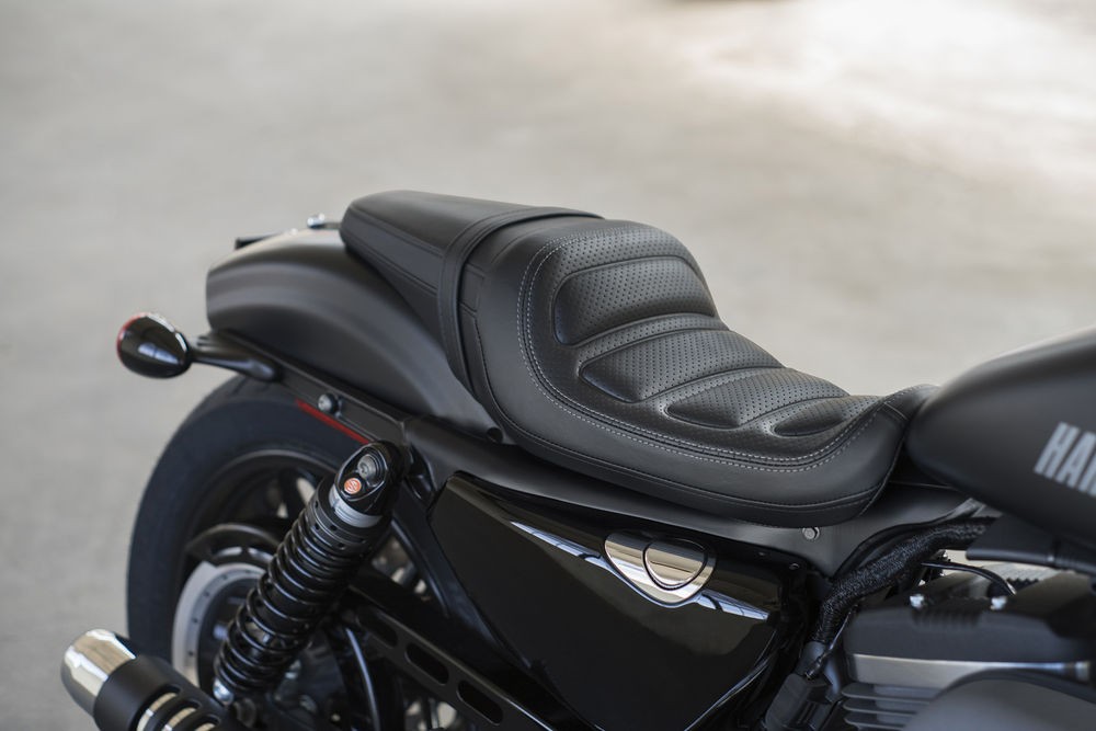 Harley-Davidson giới thiệu thêm xe mới trong dòng Sportster ảnh 7