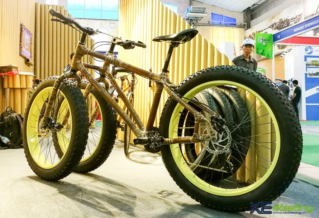Xe giẫm độc kỳ lạ thực hiện bởi vì tre đem Brand Name nước Việt Nam vượt bậc trái đất  Viet  Bamboo Bike  YouTube