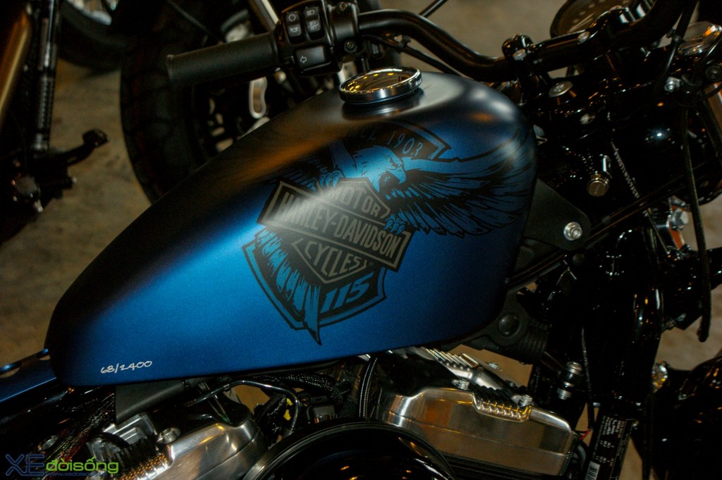 Ngắm Harley-Davidson Forty-Eight phiên bản kỷ niệm 115 năm ảnh 4