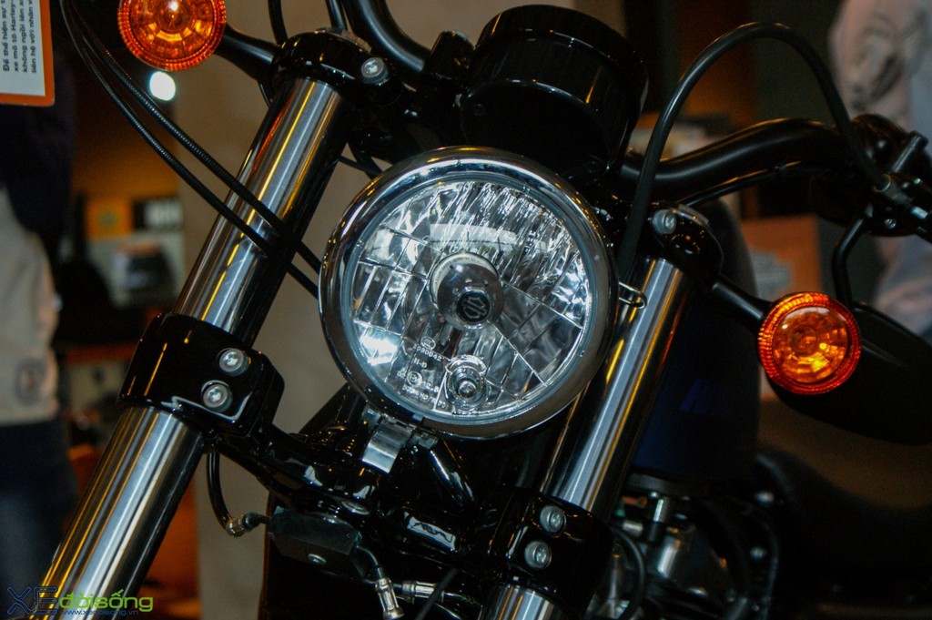 Ngắm Harley-Davidson Forty-Eight phiên bản kỷ niệm 115 năm ảnh 8