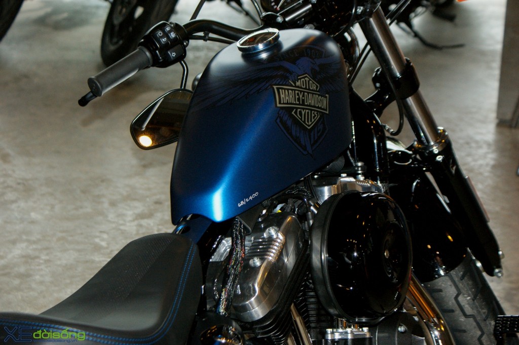 Ngắm Harley-Davidson Forty-Eight phiên bản kỷ niệm 115 năm ảnh 11