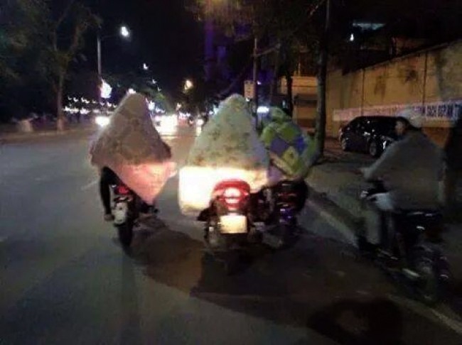 Ảnh vui giao thông Việt Nam tuần qua (17)  ảnh 12