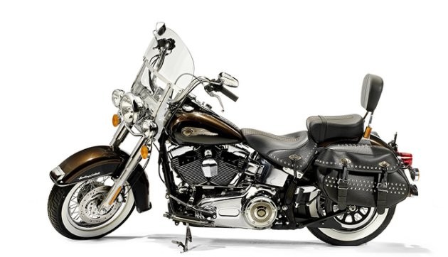 Chốt giá Harley-Davidson thứ hai của Giáo hoàng Francis ảnh 2