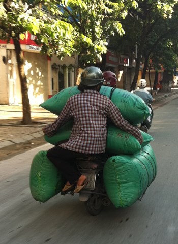 Ảnh vui giao thông Việt Nam tuần qua (12)  ảnh 10