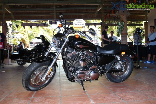 Harley-Davidson giảm giá tiền tỷ nhân lễ hội môtô Đà Nẵng  ảnh 3