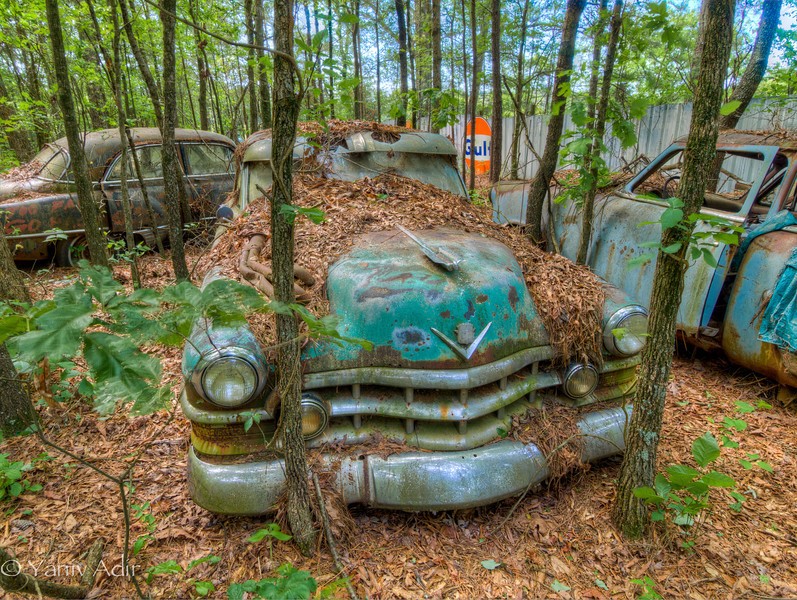Độc đáo thành phố nghĩa địa xe hơi trong rừng ảnh 3
