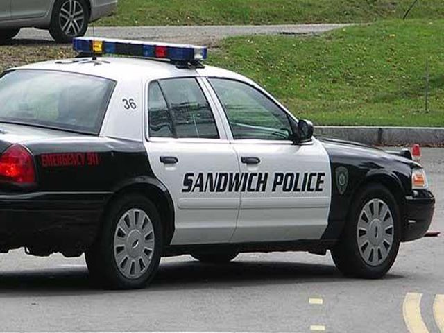 Những xe cảnh sát ‘dị’ nhất mọi thời đại ảnh 8