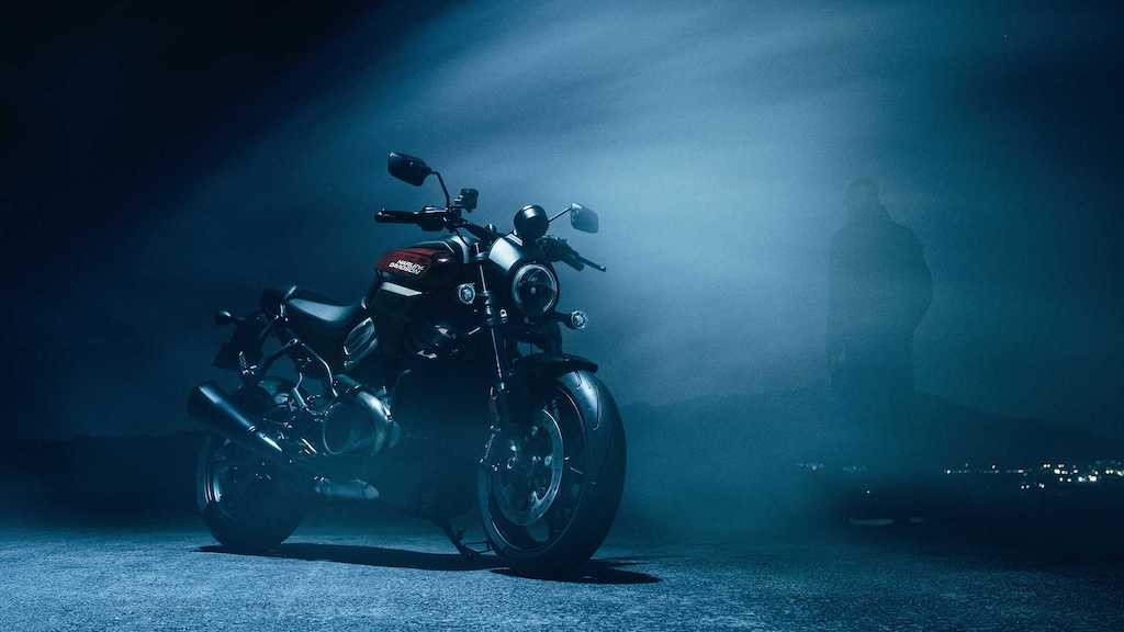Tin được không? Năm sau Harley-Davidson sẽ bán naked bike đấu Ducati Monster 821! ảnh 1