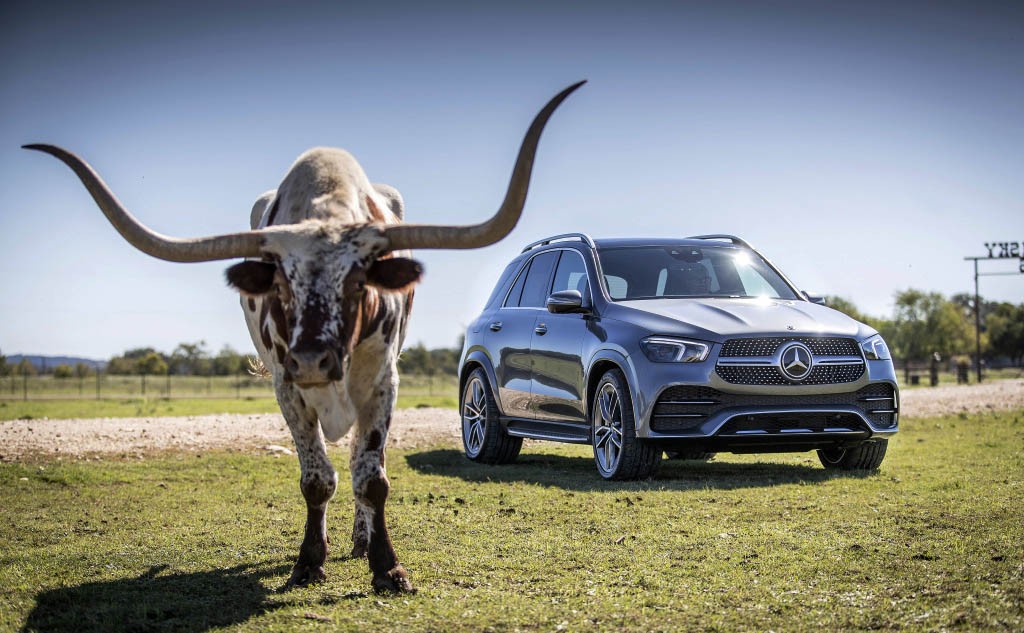 Vẻ đẹp của Mercedes-Benz GLE 2019 thế hệ mới ngoài thực địa  ảnh 12