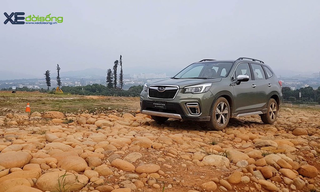 Trải nghiệm Subaru Forester 2019 thế hệ mới sắp về Việt Nam ảnh 1