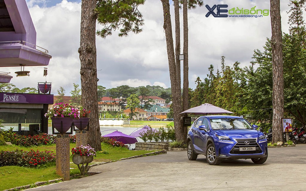 Lexus NX 200t trên cung đường biển đẹp bậc nhất Việt Nam ảnh 13
