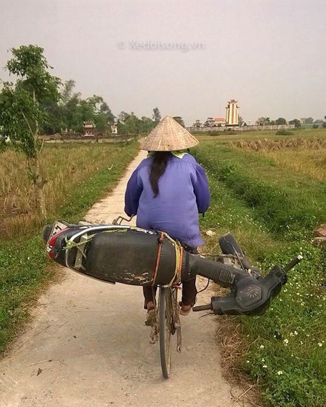 Ảnh vui giao thông Việt Nam tuần qua (19)  ảnh 9