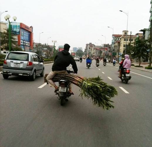Ảnh vui giao thông Việt Nam tuần qua (13)  ảnh 7