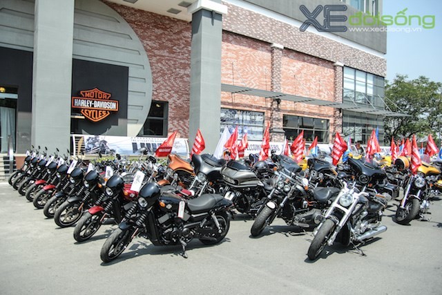Người Việt mua Harley-Davidson Street 750 rẻ hơn Malaysia ảnh 3