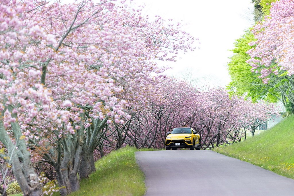 Ai bảo Lamborghini không “phượt” xuyên quốc gia được? Cặp đôi Urus vượt hơn 6.500km xuyên Nhật, ngắm hoa anh đào mùa Xuân ảnh 3