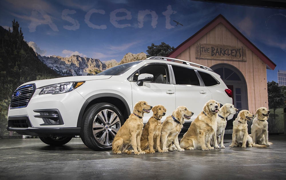 Subaru Ascent 2019 “Chó đã thử và chấp thuận” có giá từ 31.995 USD ảnh 1