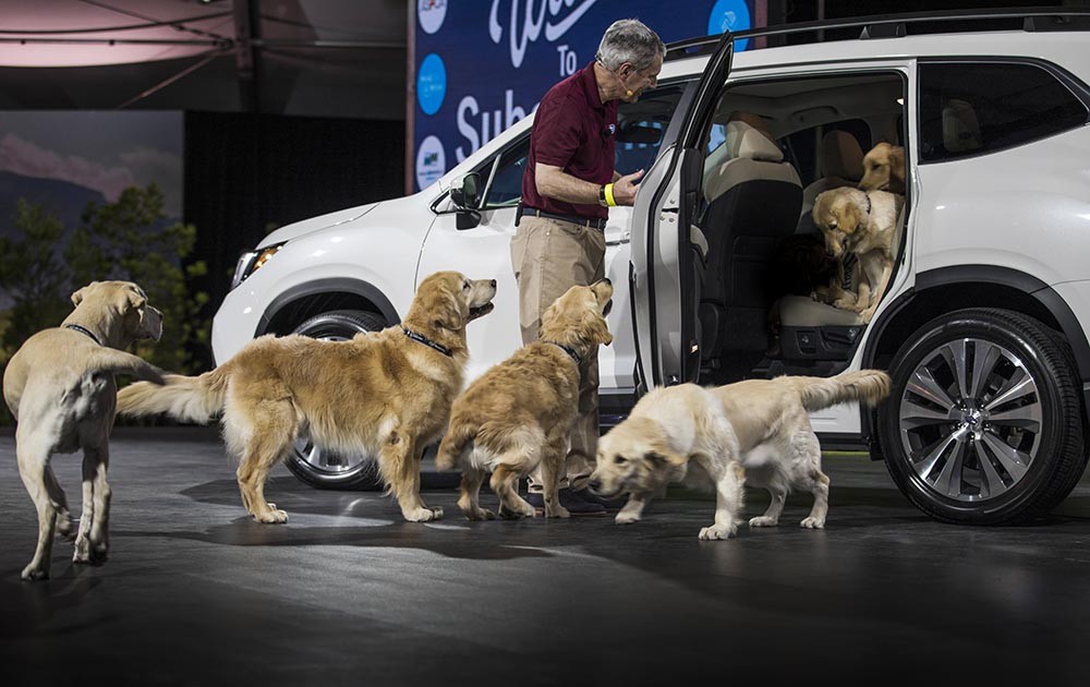 Subaru Ascent 2019 “Chó đã thử và chấp thuận” có giá từ 31.995 USD ảnh 2