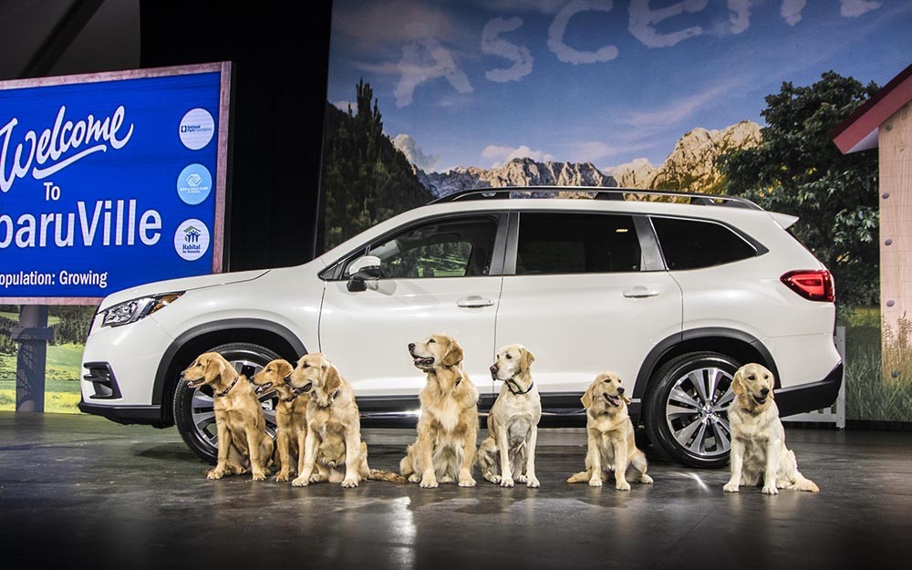 Subaru Ascent 2019 “Chó đã thử và chấp thuận” có giá từ 31.995 USD ảnh 3