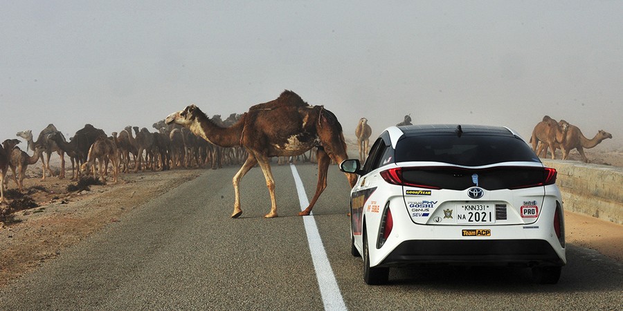 Ấn tượng hành trình Toyota Prius PHV vượt sa mạc Sahara ảnh 12