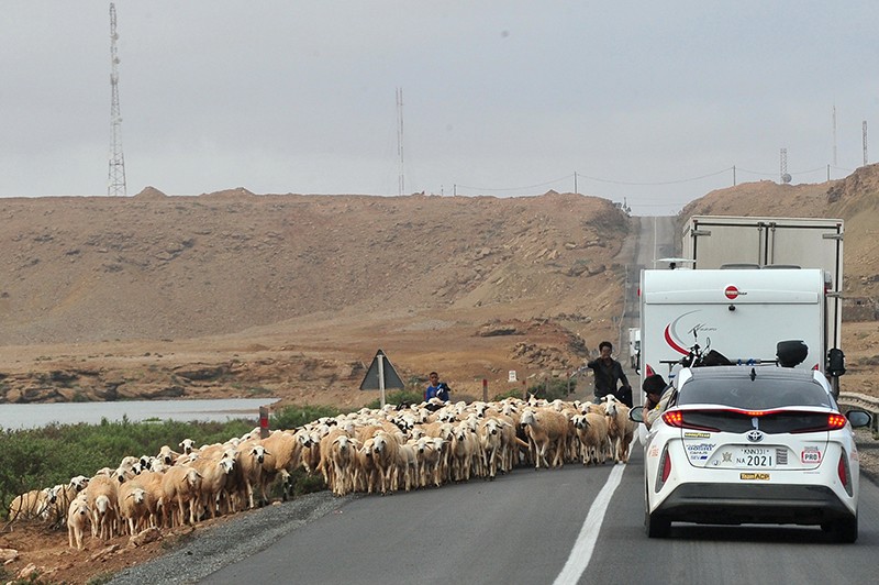 Ấn tượng hành trình Toyota Prius PHV vượt sa mạc Sahara ảnh 8