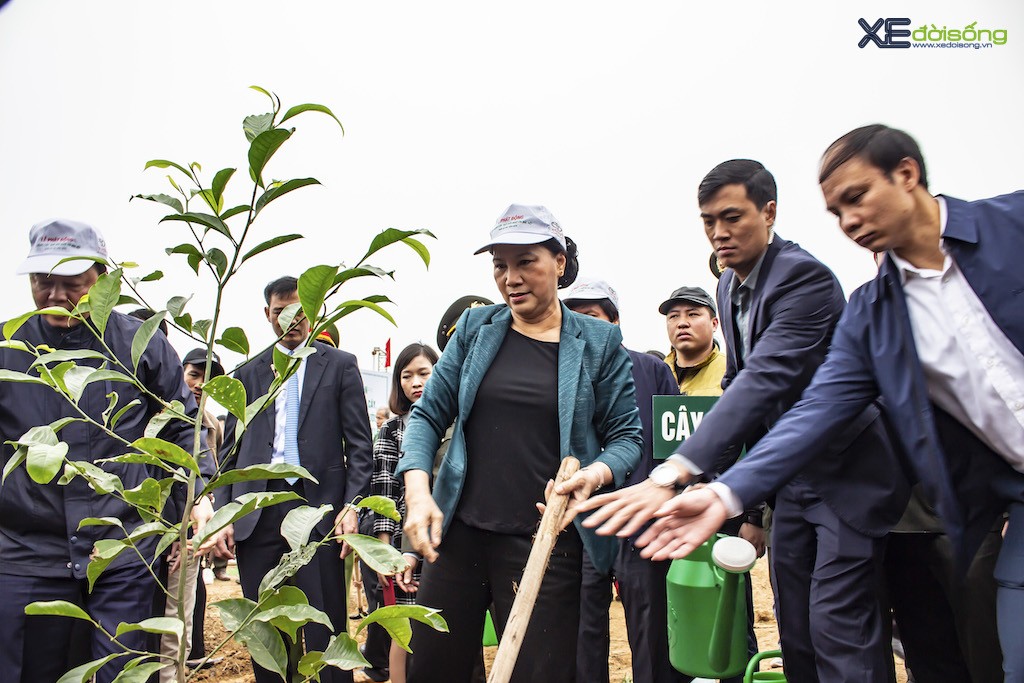 Toyota đồng hành tổ chức Lễ phát động Tết trồng cây 2019 tại Hòa Bình ảnh 4